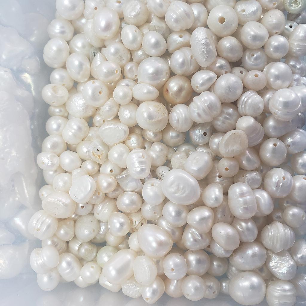 PERLA DE RIO INDIVIDUAL