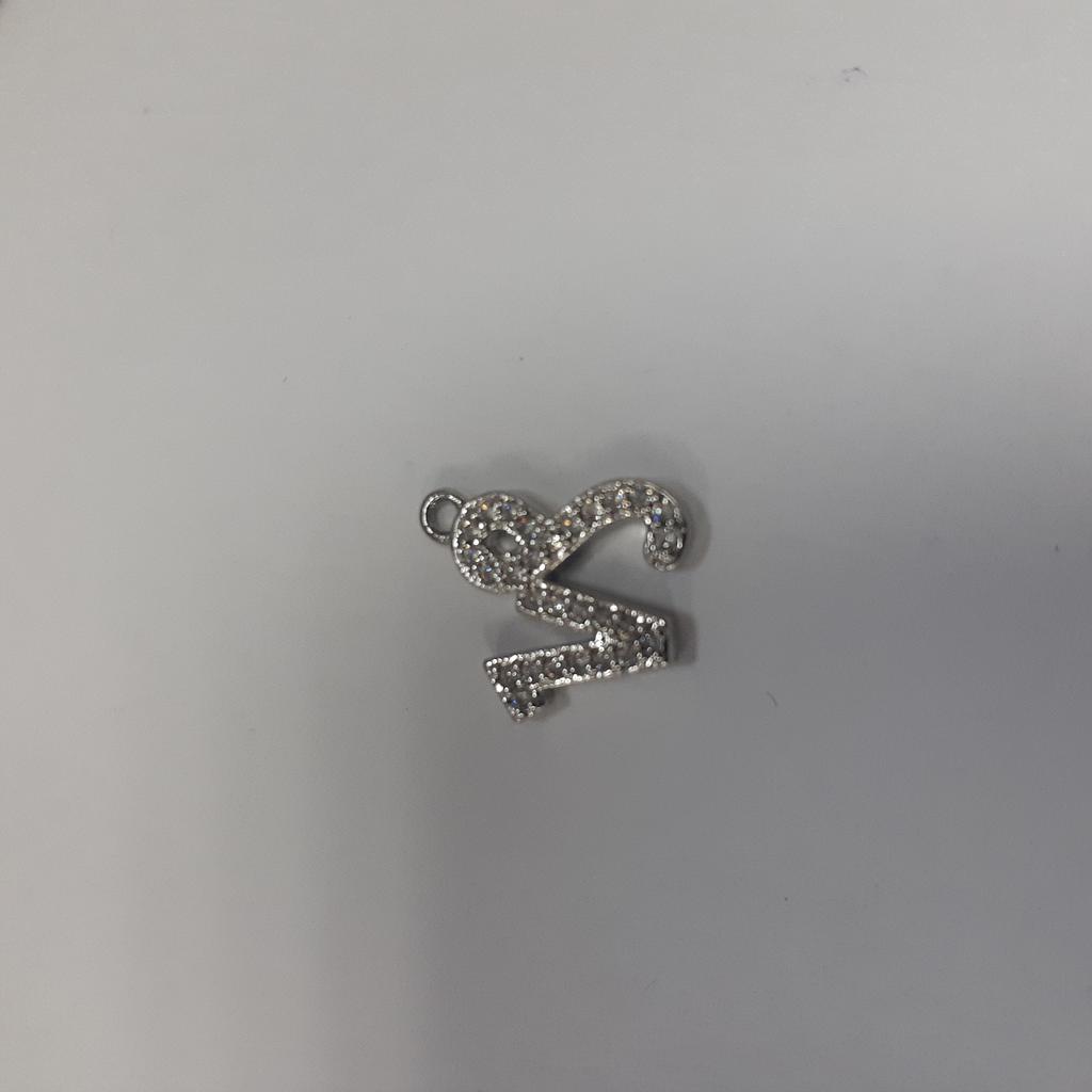 CAPRICORNIO PLATEADA 