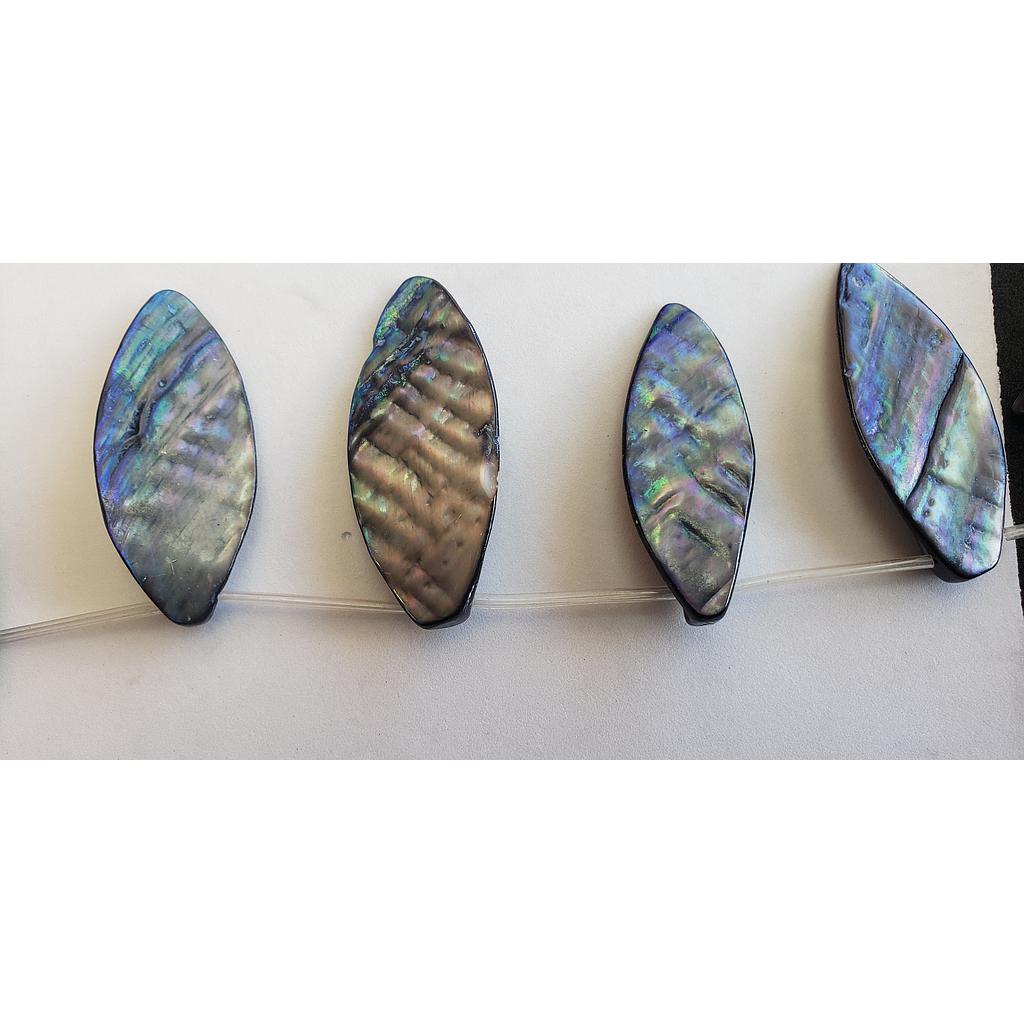 PIEDRAS CONCHAS NACAR 