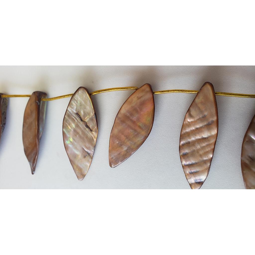 PIEDRAS CONCHAS NACAR 