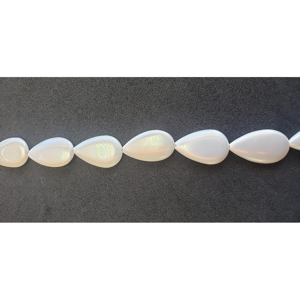 PIEDRAS CONCHAS NACAR 