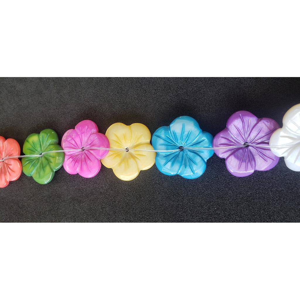 PIEDRAS CONCHAS NACAR 