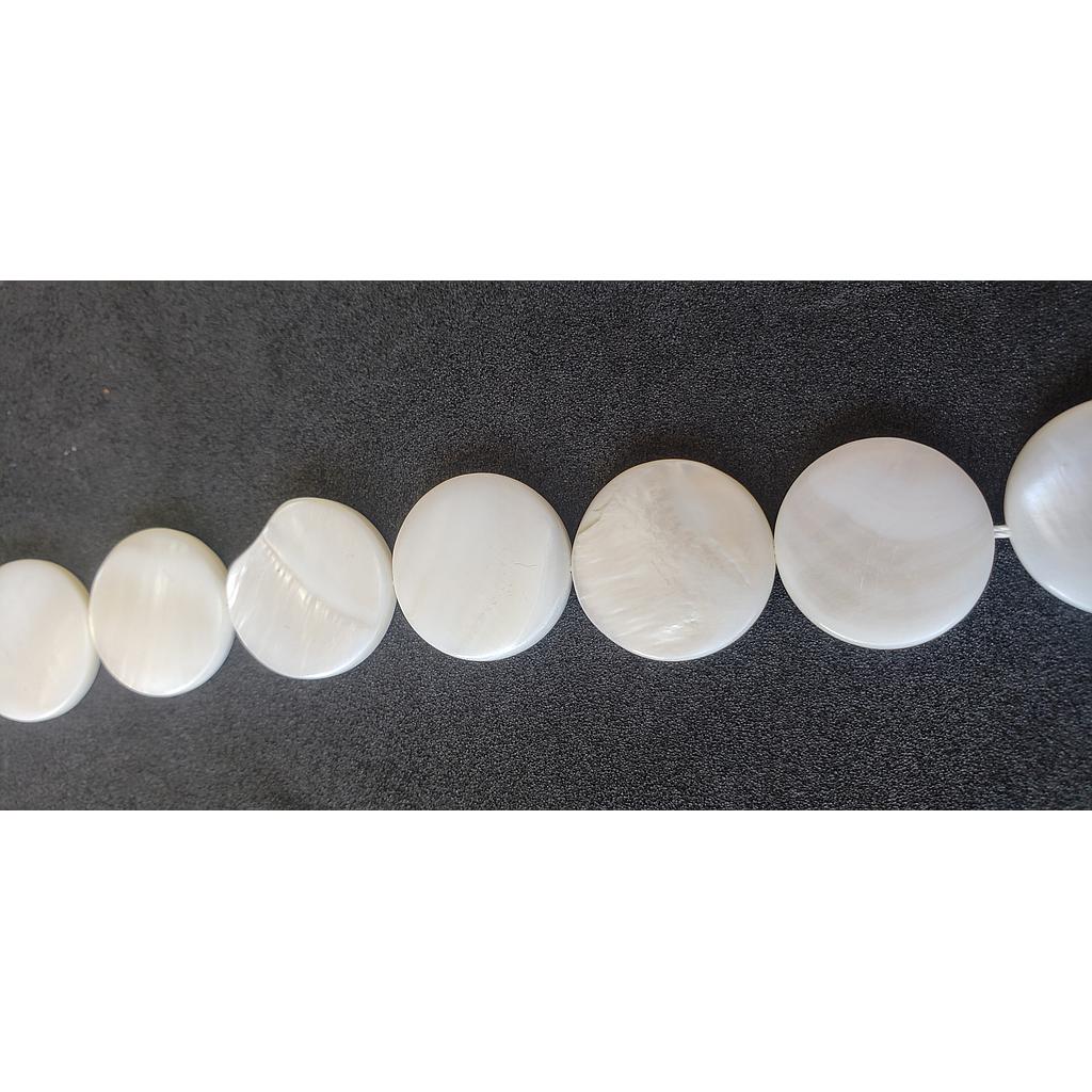 PIEDRAS CONCHAS NACAR 18MM