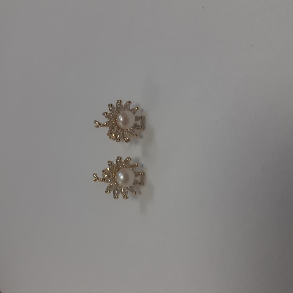 PATENTES DE FLOR MICROCIRCONIA