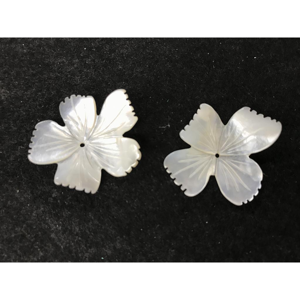 FLOR CONCHA NACAR 25MM