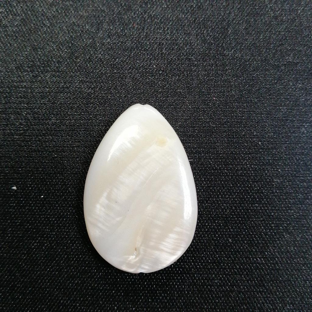 PIEDRA CONCHA NACAR