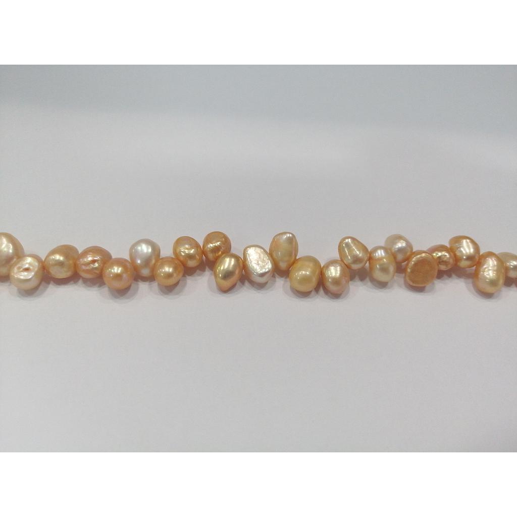 PERLA DE RIO SALMON VAIVEN