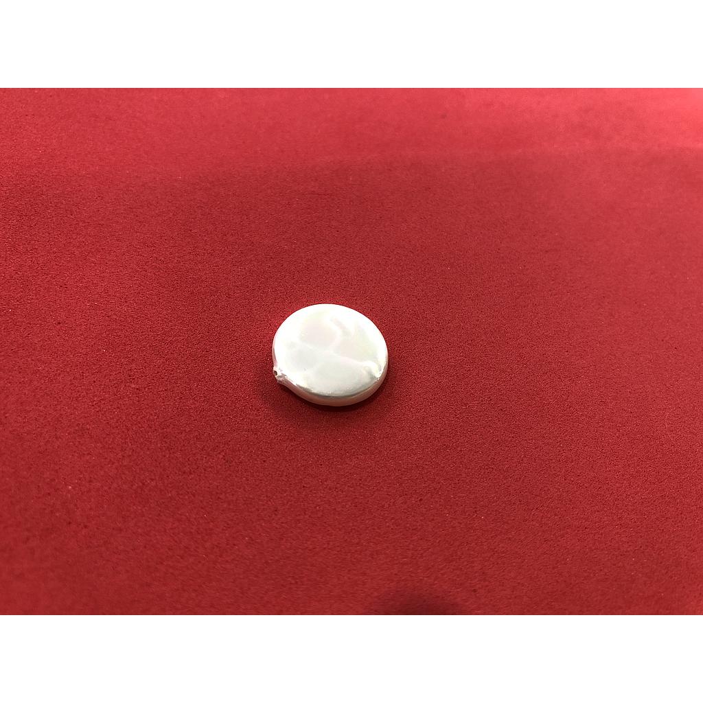 MADRE PERLA MONEDA 14MM