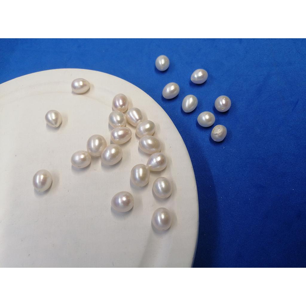 PERLA DE RIO INDIVIDUAL