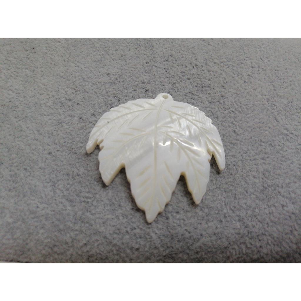 CONCHA NACAR HOJA