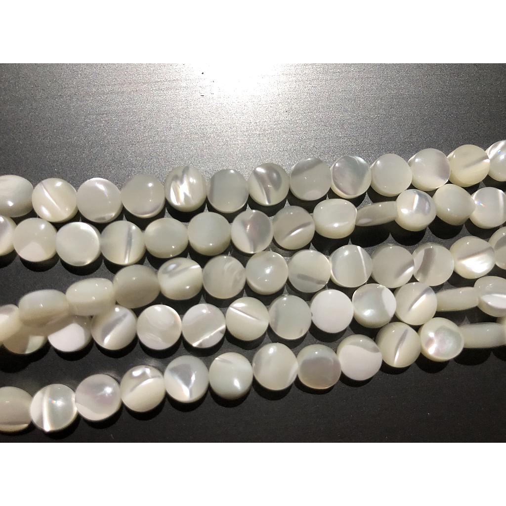 CONCHA NACAR MONEDA 6MM