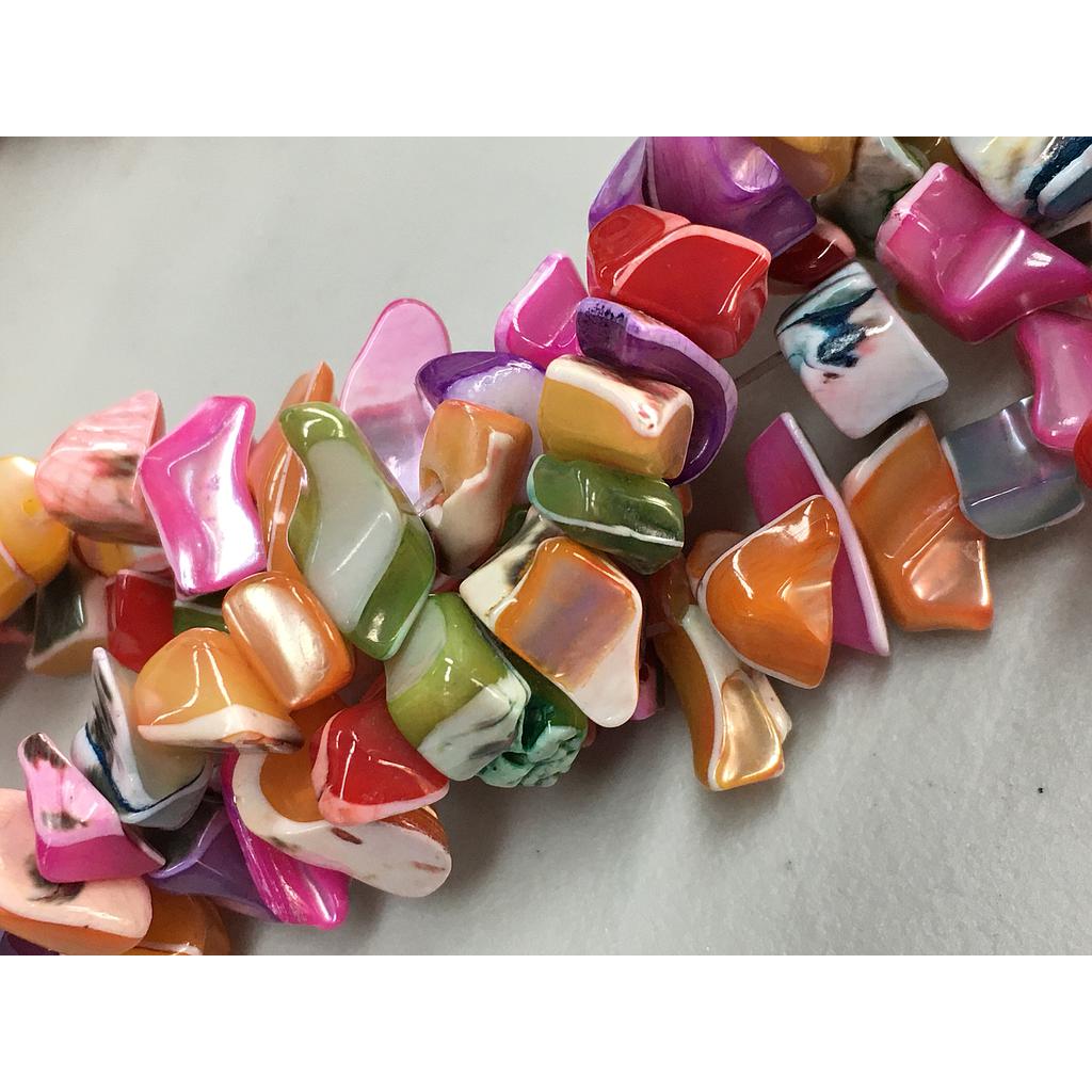 CONCHA NACAR CHIP MULTICOLOR