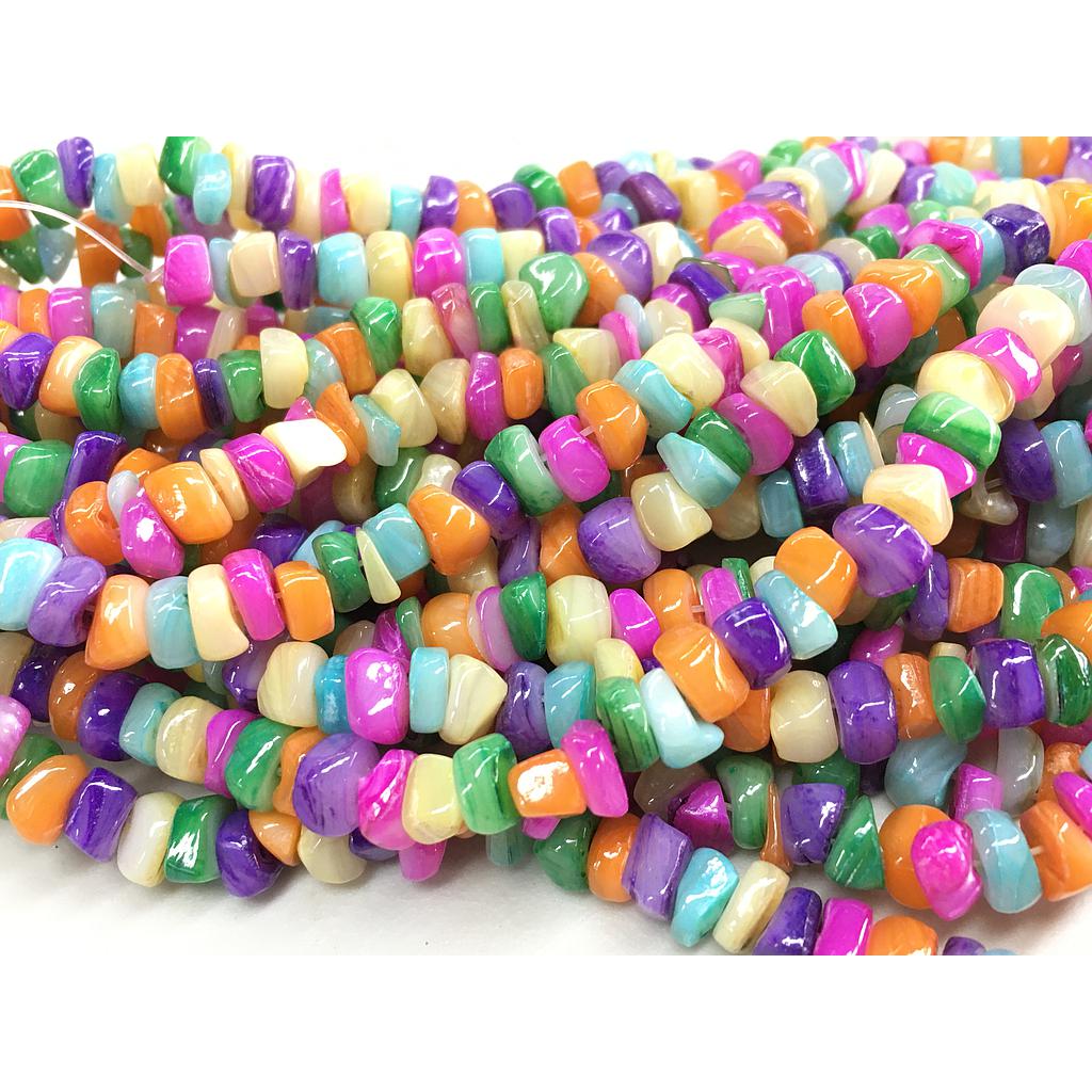 CONCHA NACAR MULTICOLOR