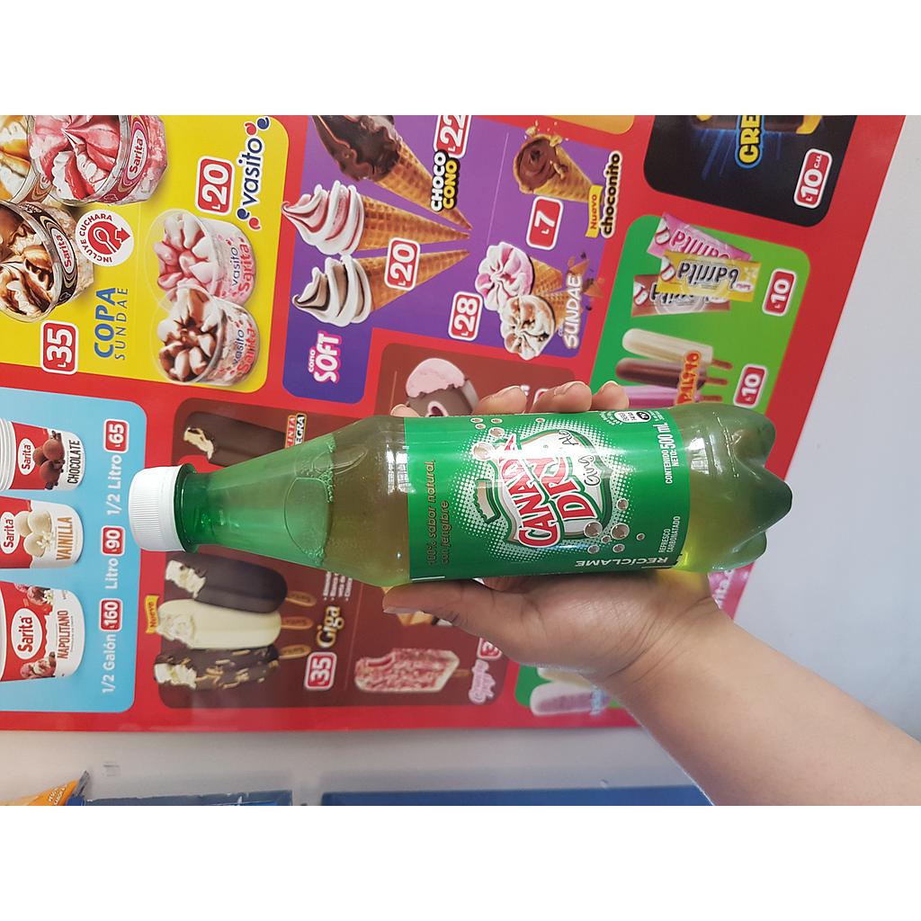 CANADA DRY PORTATIL 500 ML