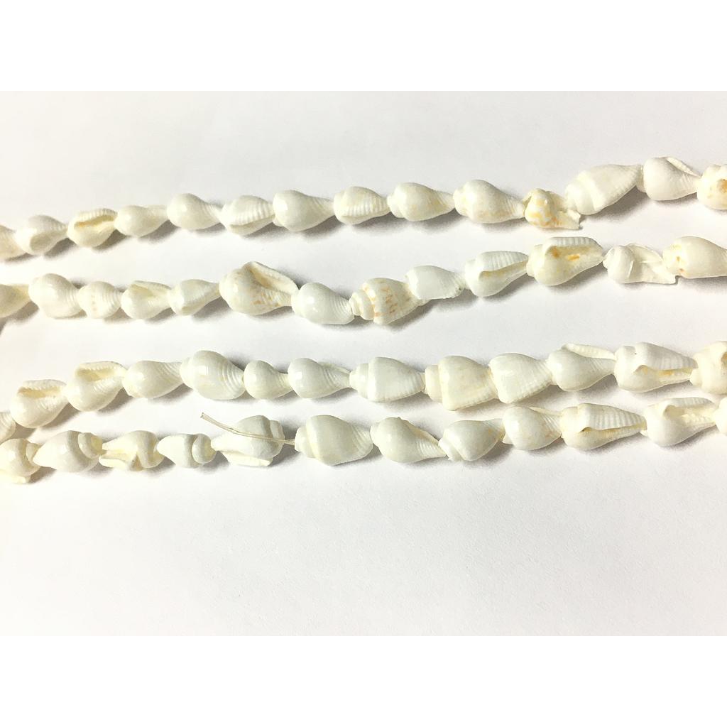 CONCHA NACAR CARACOLES RISTRA 48PCS APROX.