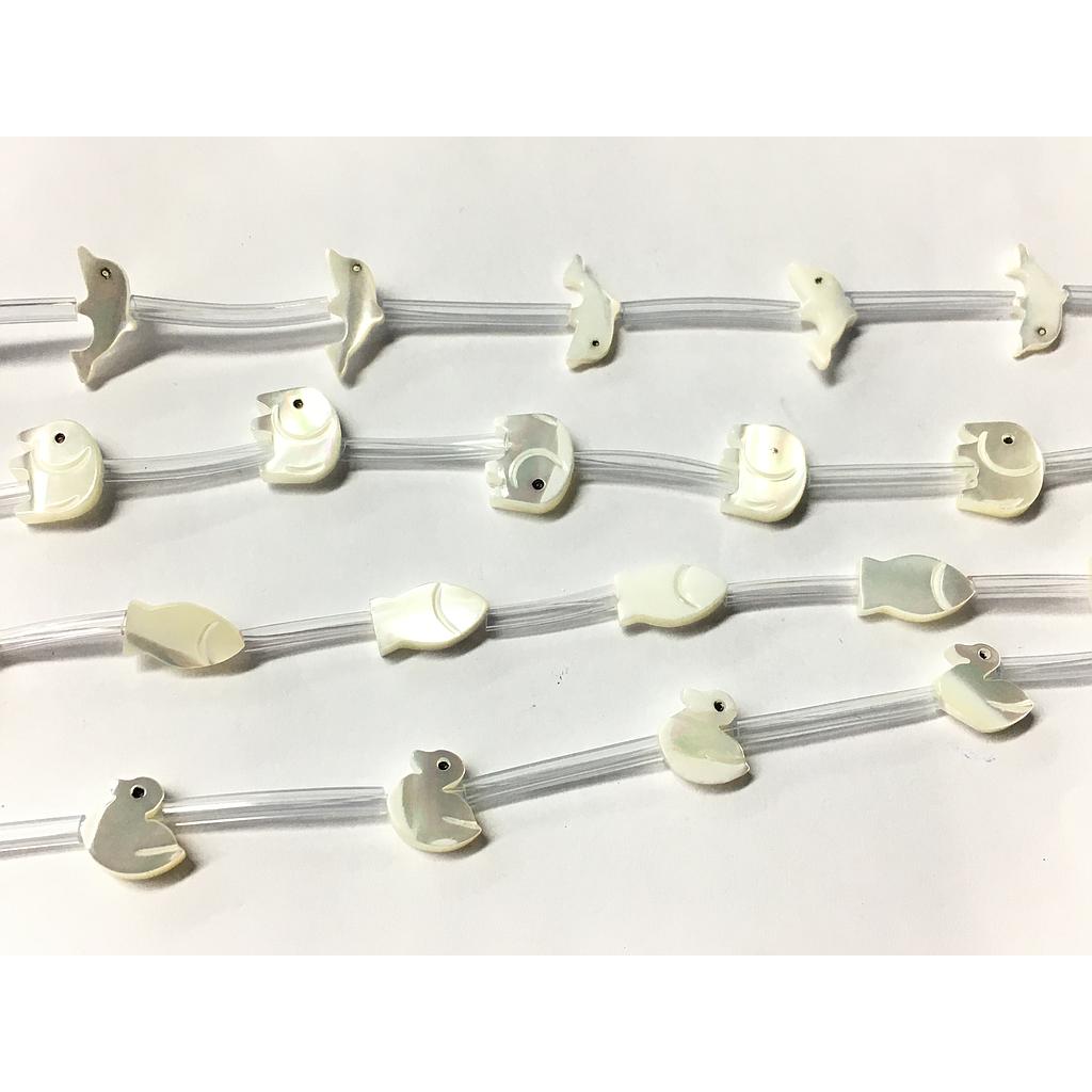 CONCHA NACAR ANIMALES