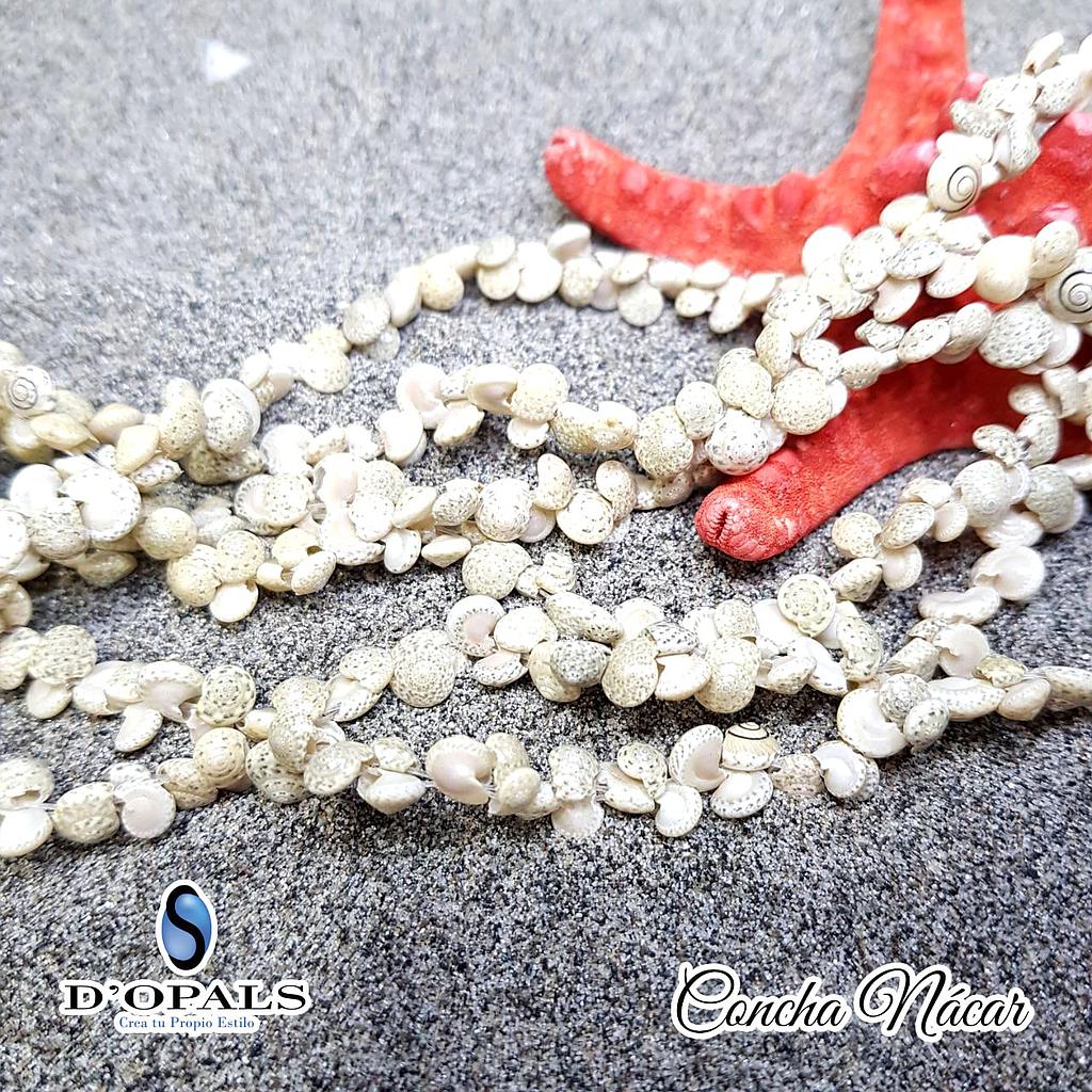 CARACOL CONCHA NACAR