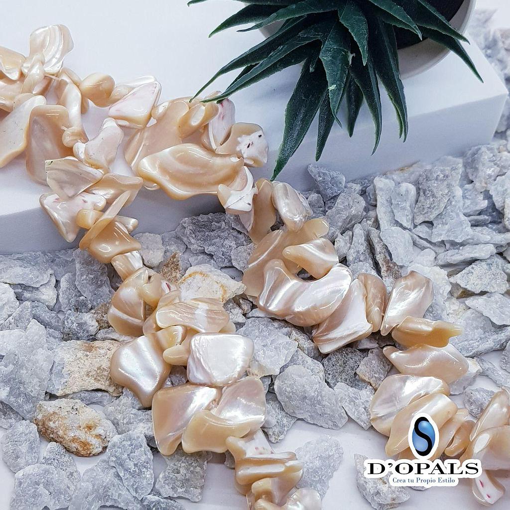 CONCHA NACAR CHIP