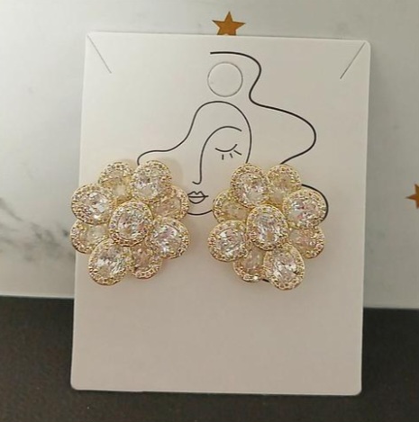 ARETES DE MICROCIRCONIA