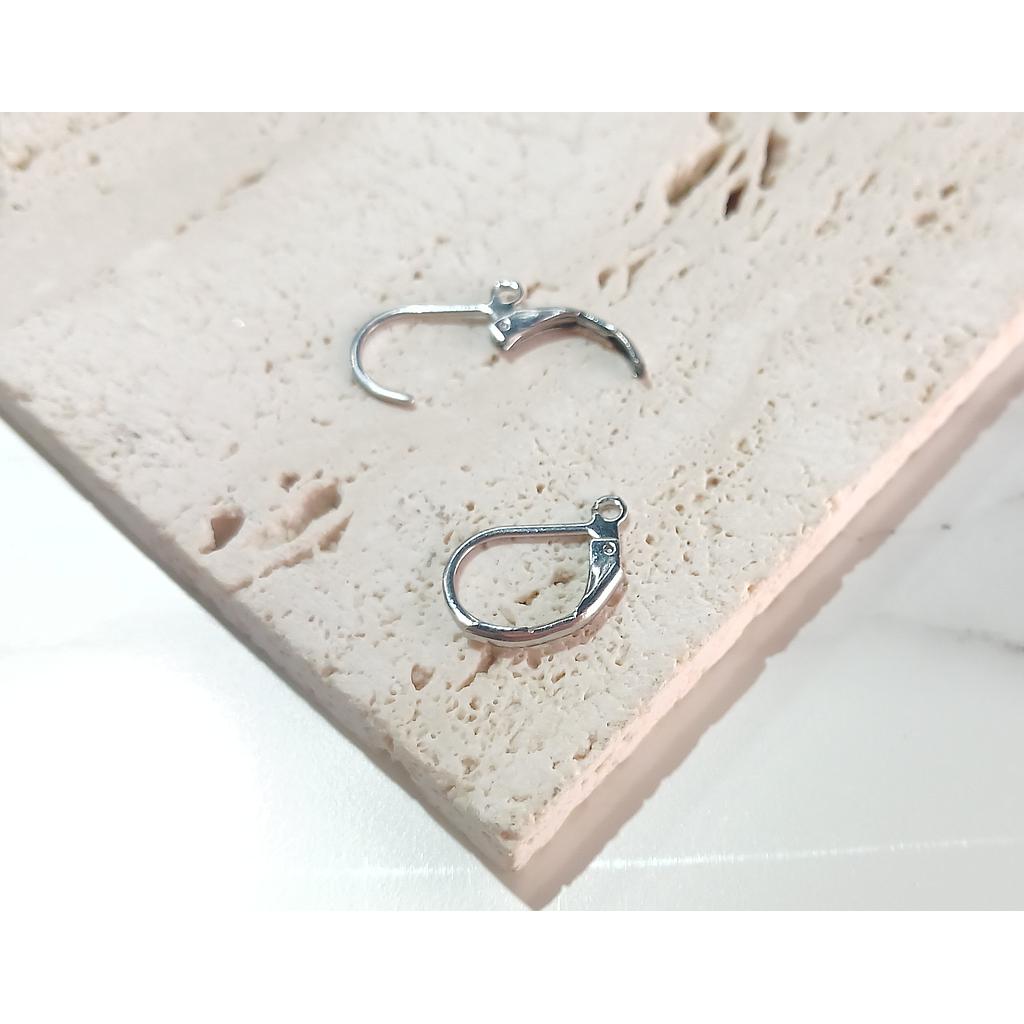 PATENTE DE ACERO OVALADA PLATEADA