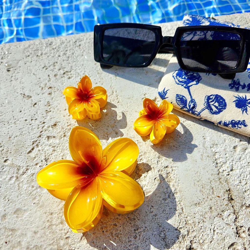 SET ACCESORIO O GANCHO PARA CABELLO DE FLOR