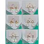 ARETES DE MICROCIRCONIA