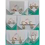ARETES DE MICROCIRCONIA